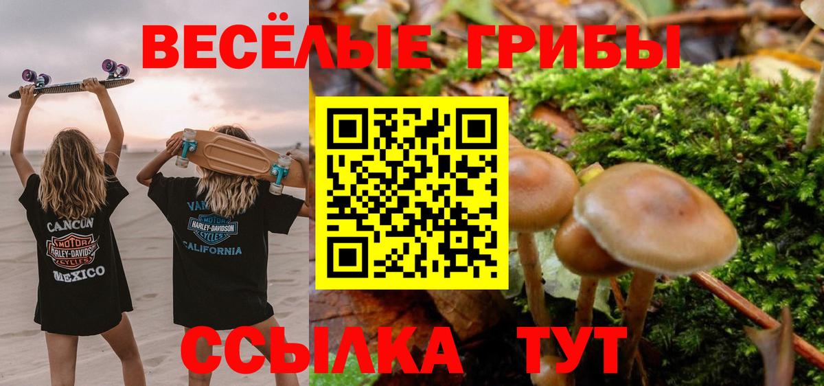 Галлюциногенные грибы MAGIC MUSHROOMS Губкинский