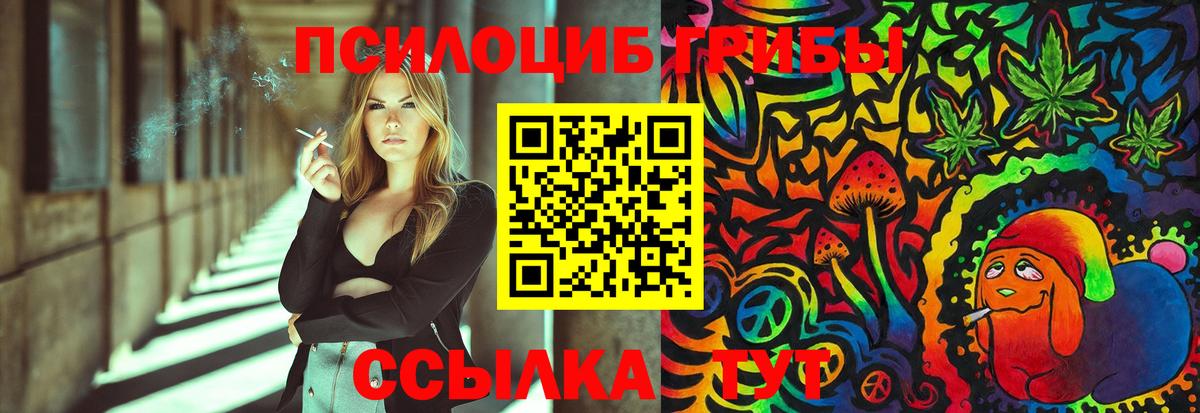 Псилоцибиновые грибы Psilocybe  Вход с VPN  Губкинский 